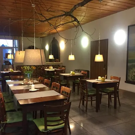 Lug Ins Land Restaurant & Бад-Беллинген